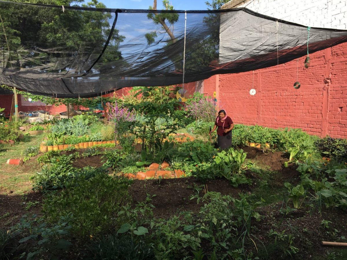 thumbnail_IMG_0627 2