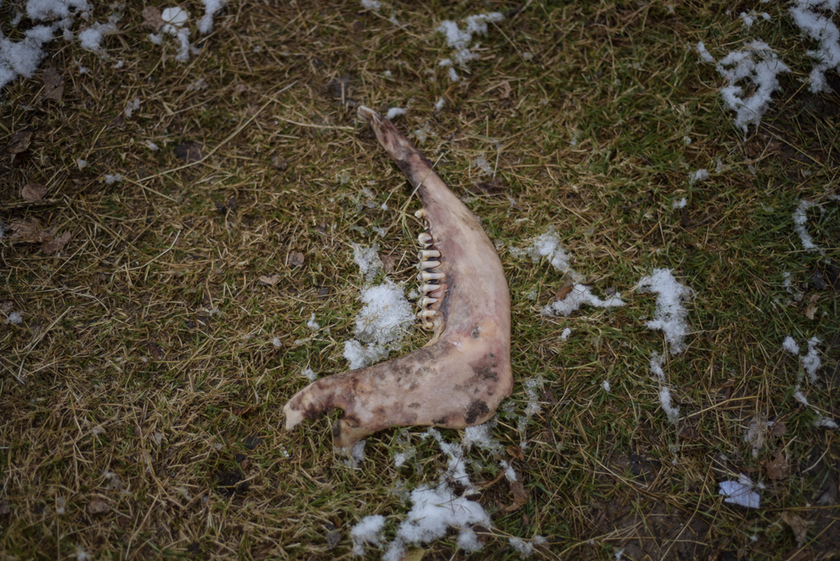 04-cananea-foto-ximena-natera