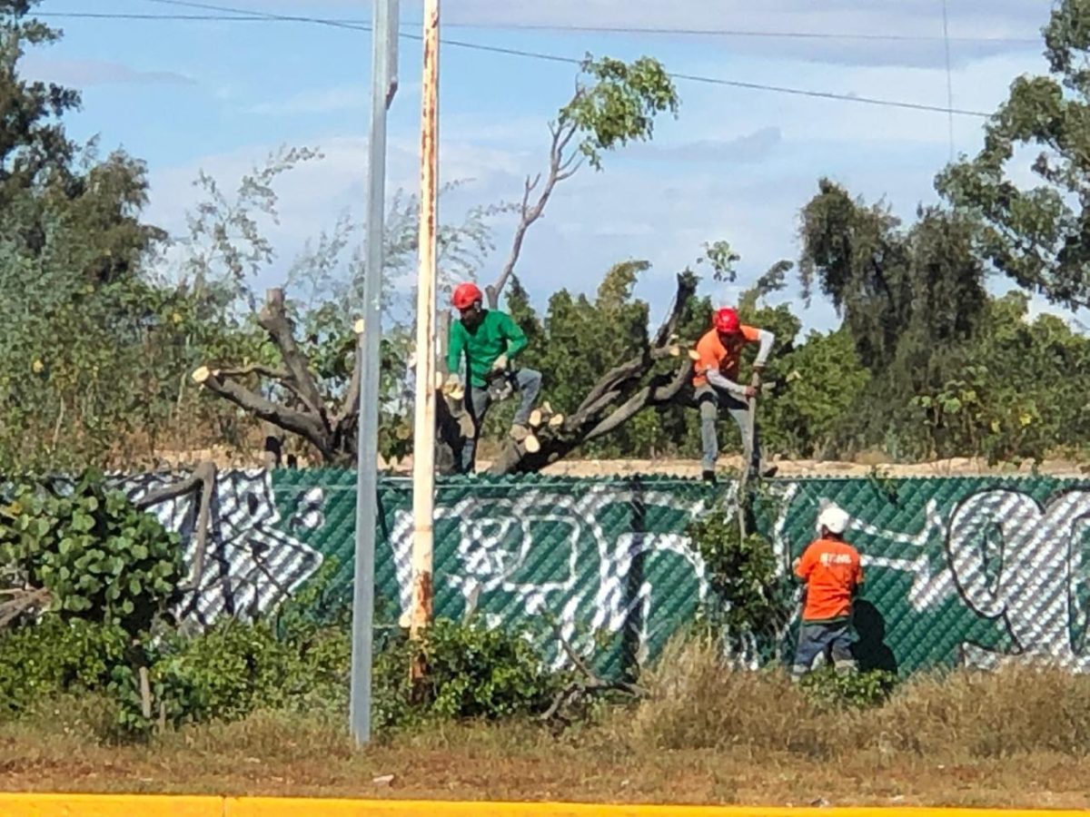 photo4906923655653599243