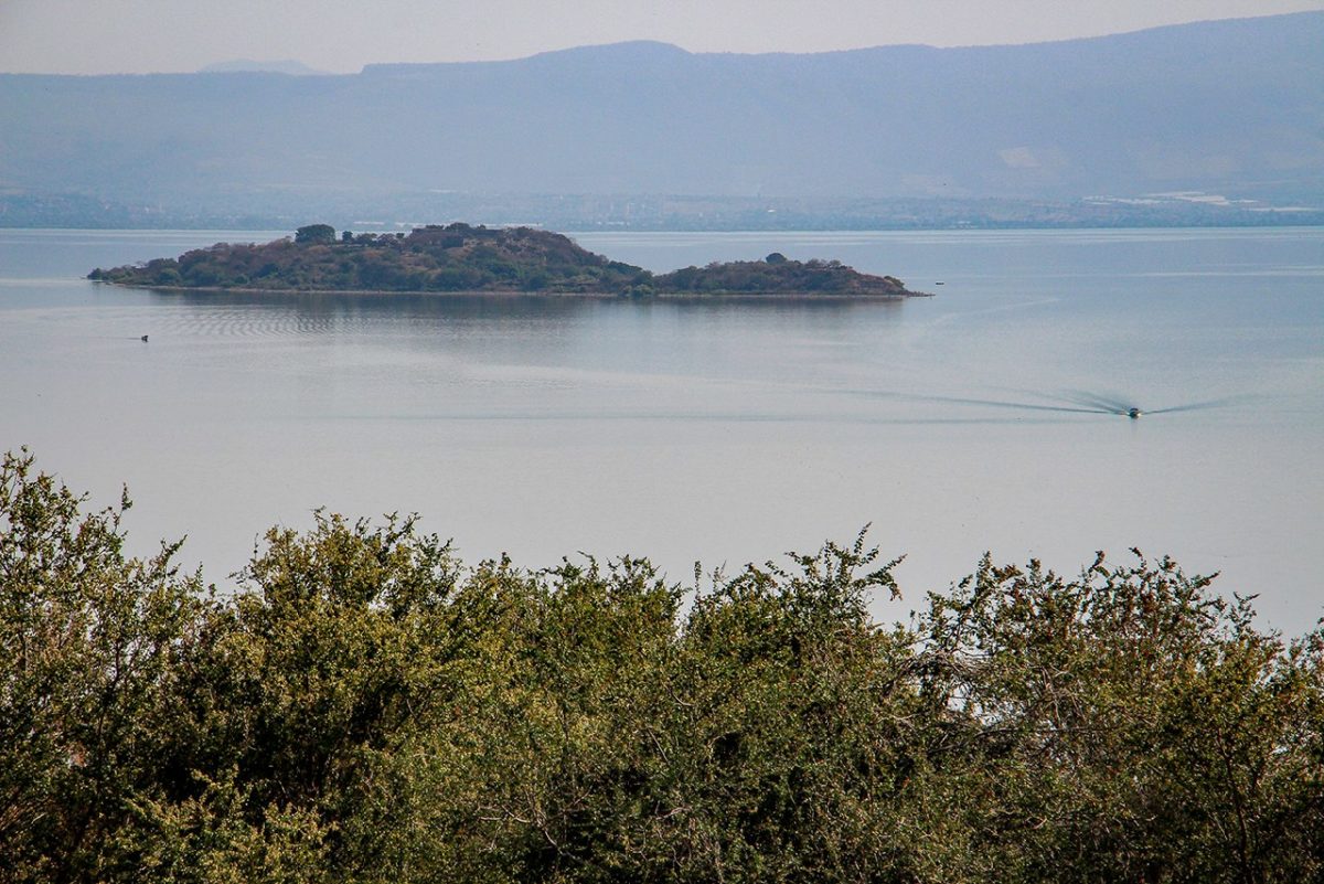 photo5537457290299418556