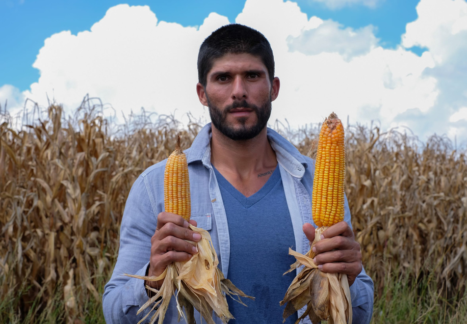 upload-eb365840-e43f-11e8-a65a-e91905976831