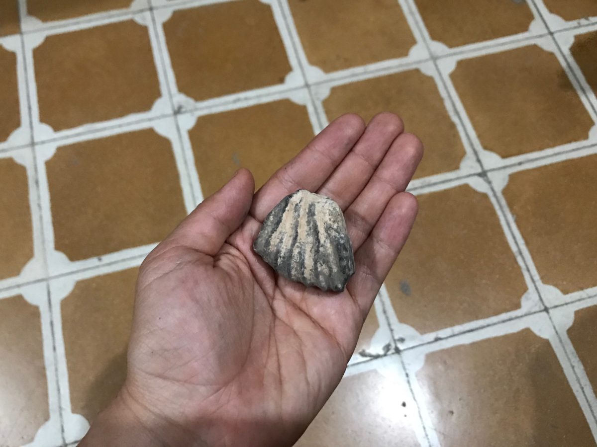 ADC43DC2-C8EB-45DB-8496-6F069D50840B-1-1200×900