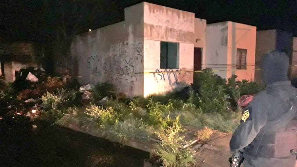 28e209b61a1531433864_standard_desktop_medium_retina