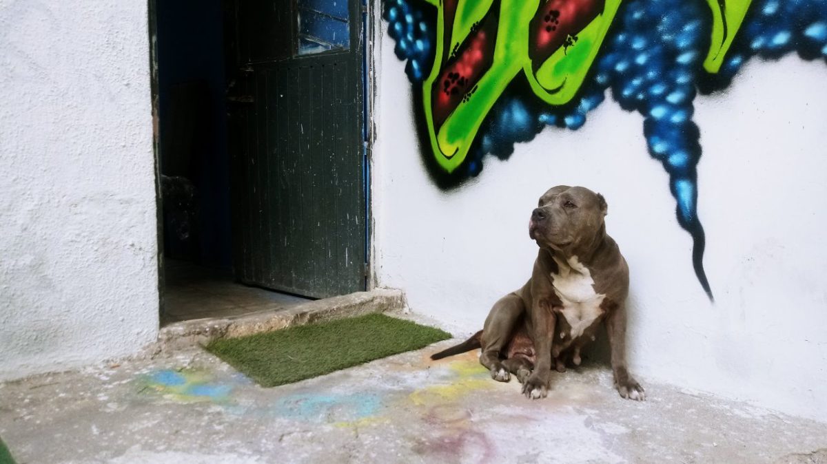 photo5685941946173990830