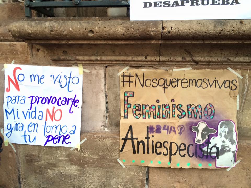 FOTO COORDINACIÓN FEMINISTA DE MICHOACÁN_1