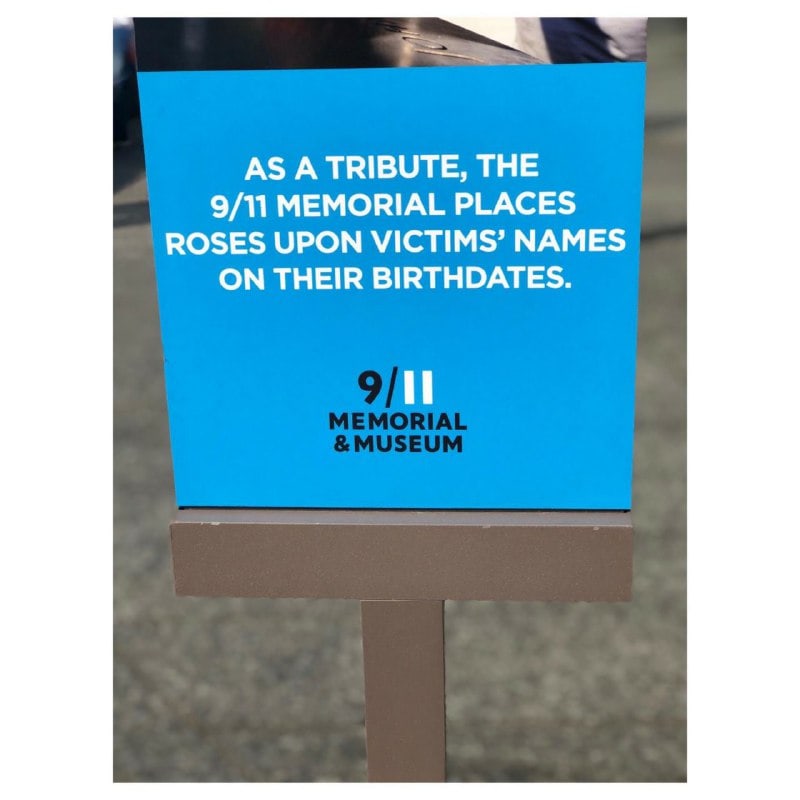 photo5172664204358953192-min