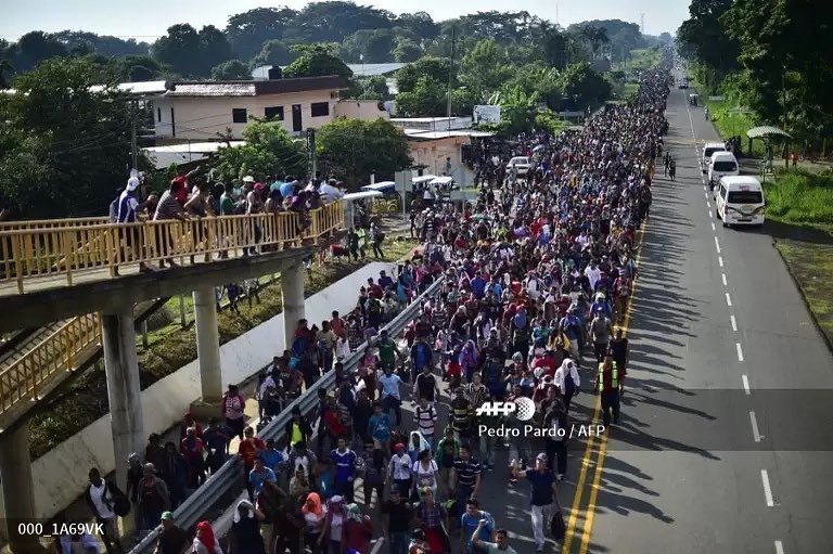 44464594_10155540465927443_7728997067393073152_n