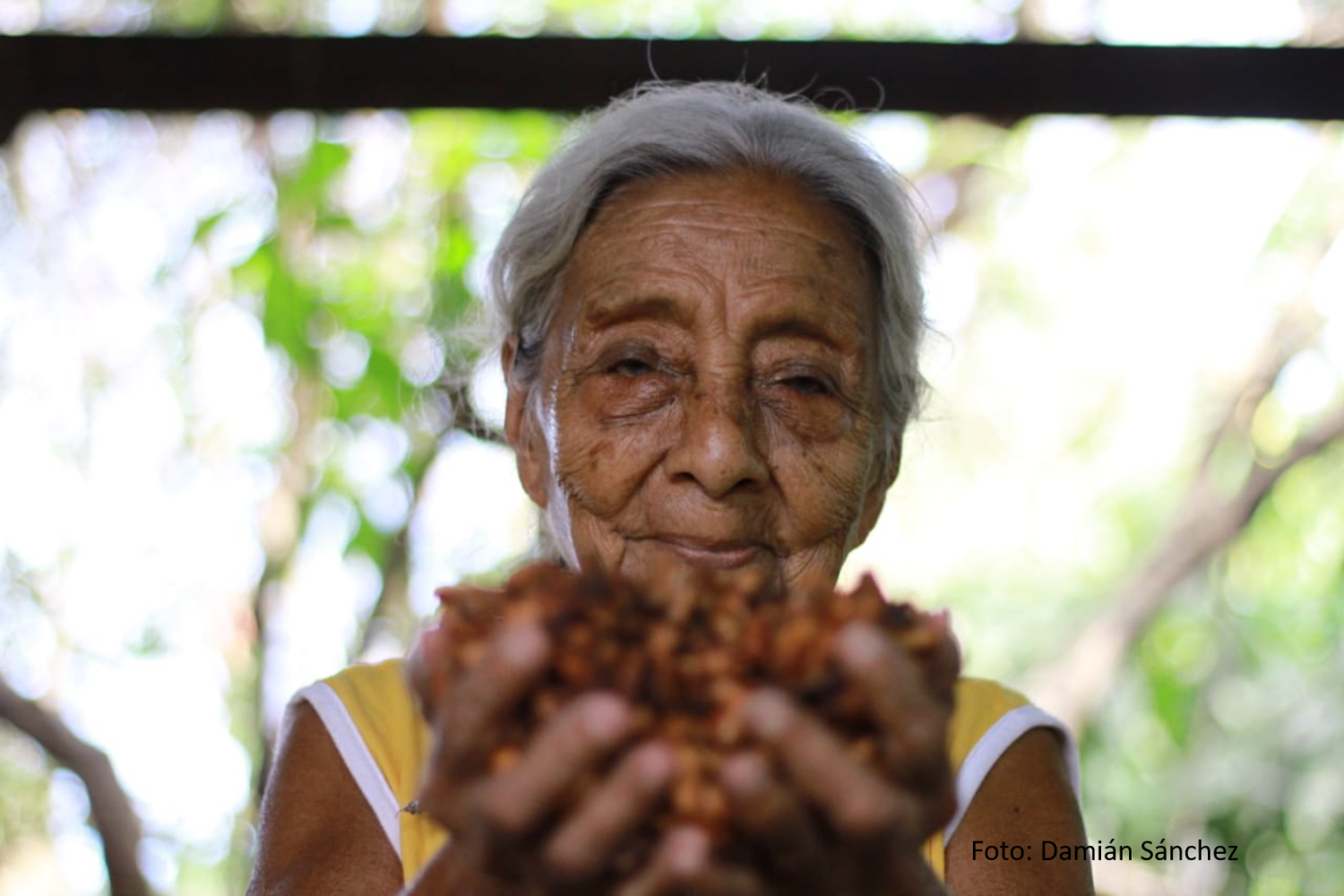 Demetria Martinez – Foto- Damián Sánchez