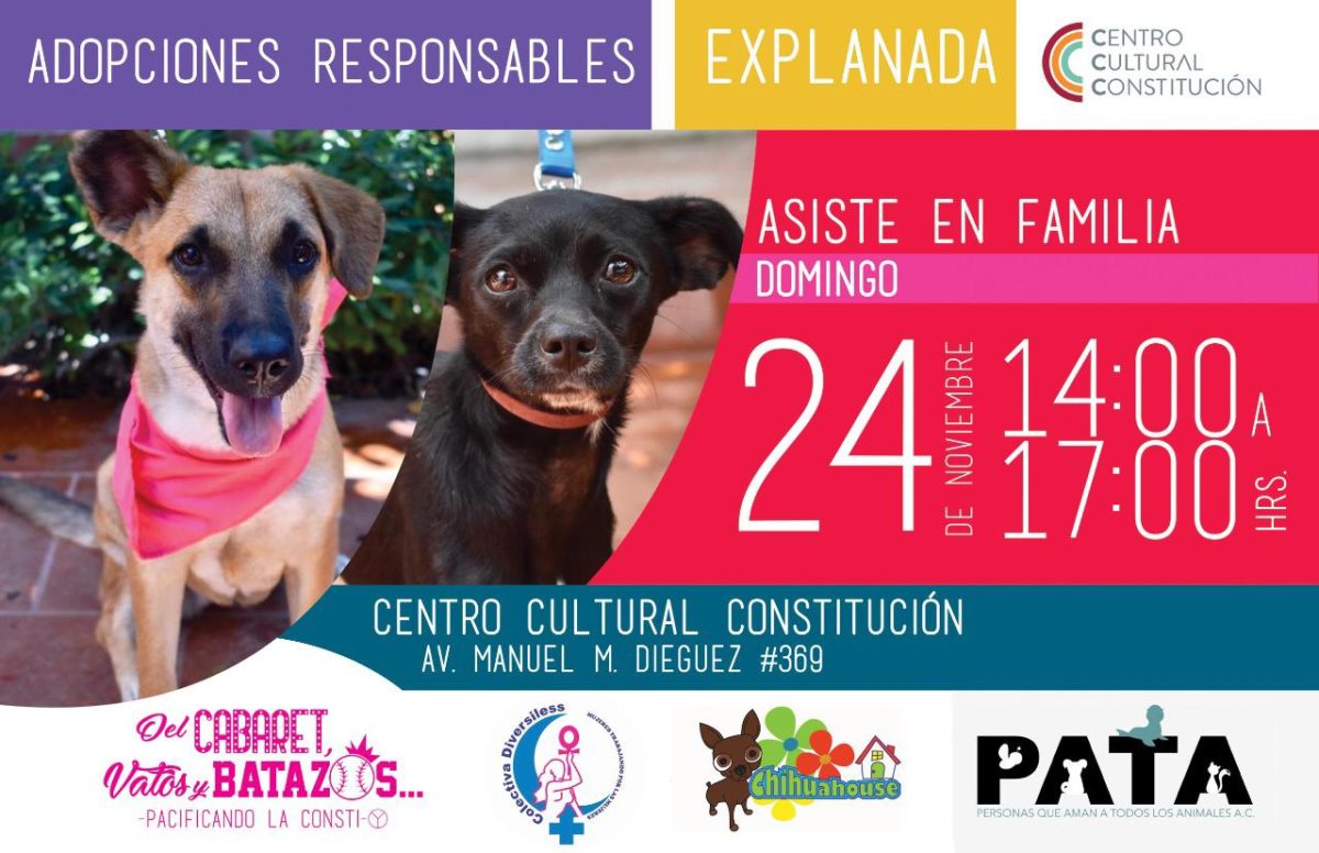 WhatsApp Image 2019-11-18 at 4.20.46 PM