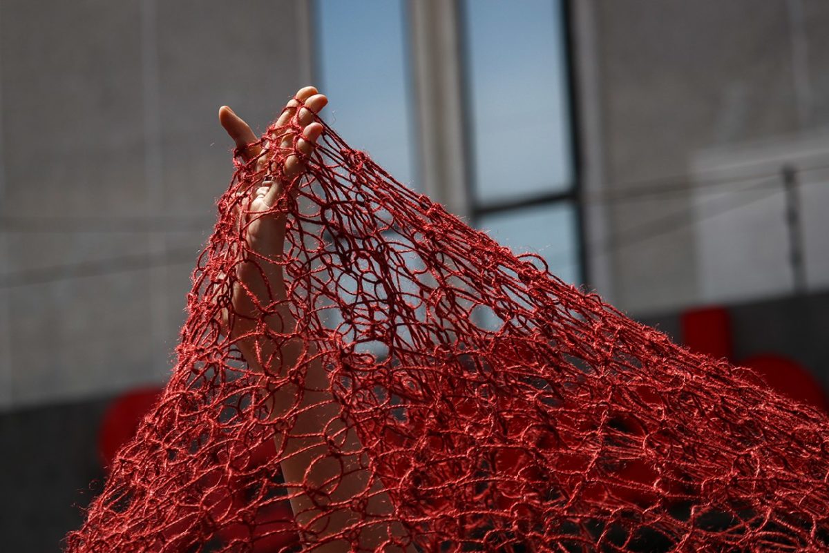 photo5125423150400645246