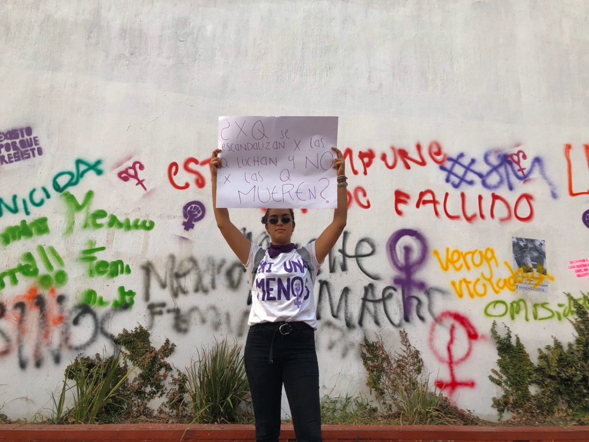 photo5129750699318552795