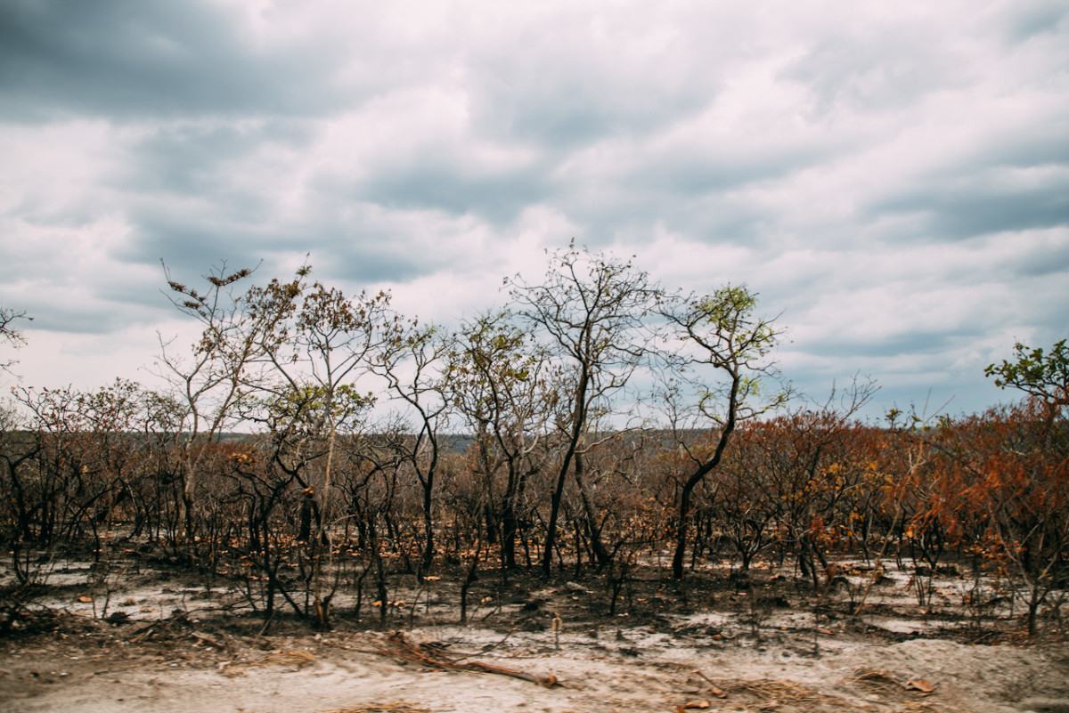 bocado_brasil_agronegocio07
