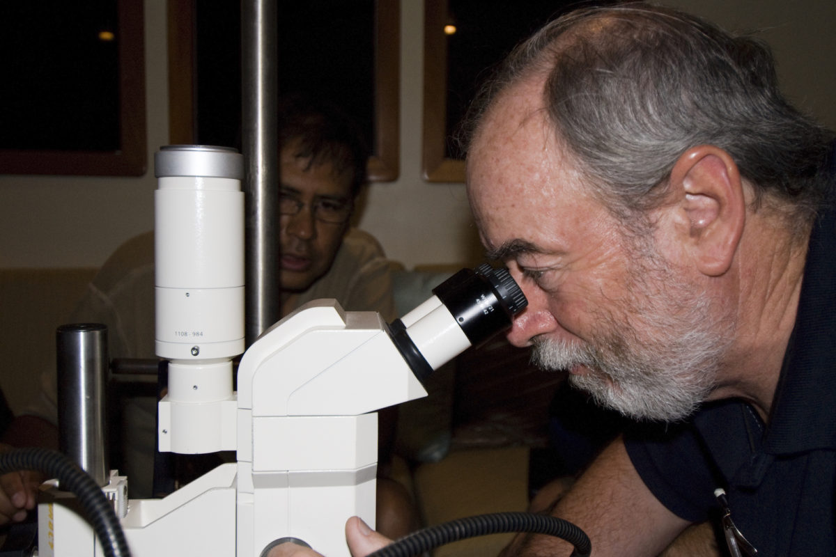 11c-Golfo-de-California-Deep-Sea-2008-1200×800