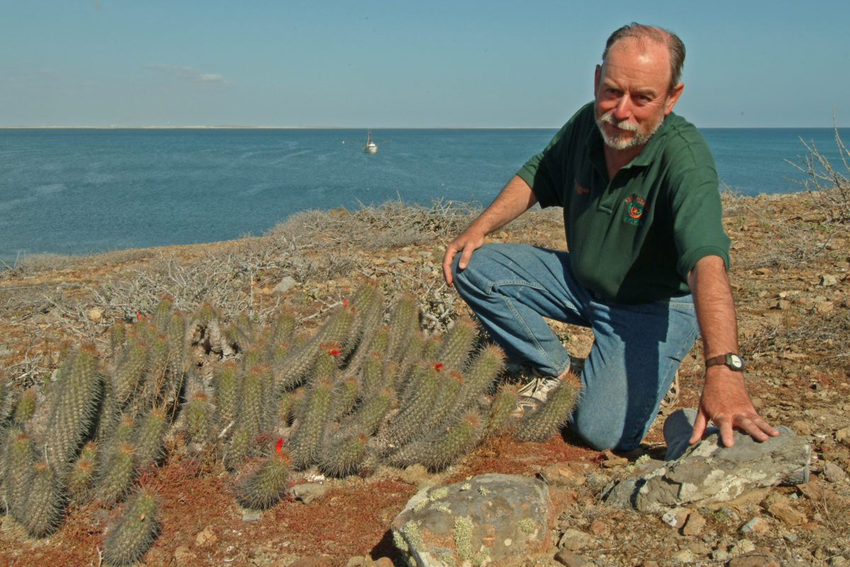 6-Reviviendo-la-ruta-de-Steinbeck-Bahia-Magdalena-2003-1200×800
