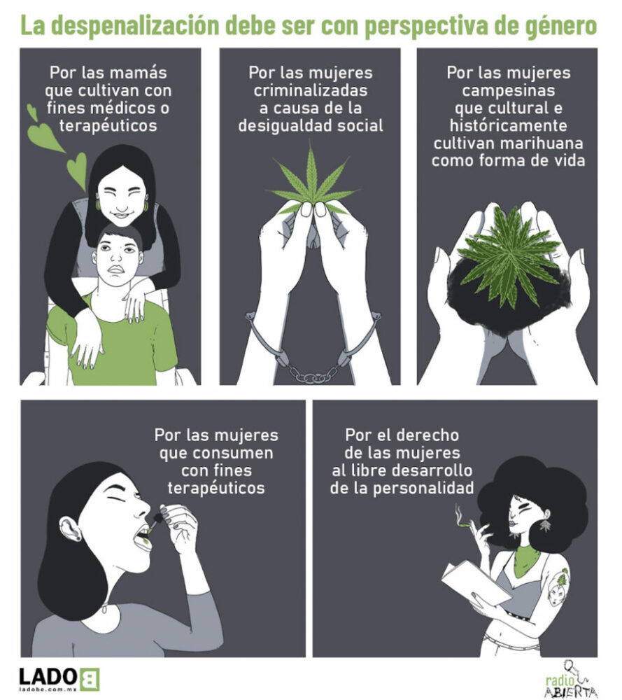 ladob_mujerescannabicas_infografia03-910×1024