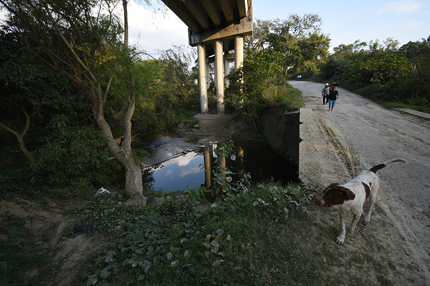 mariaAntonia_Veracruz_Yerenia_Rolon_2