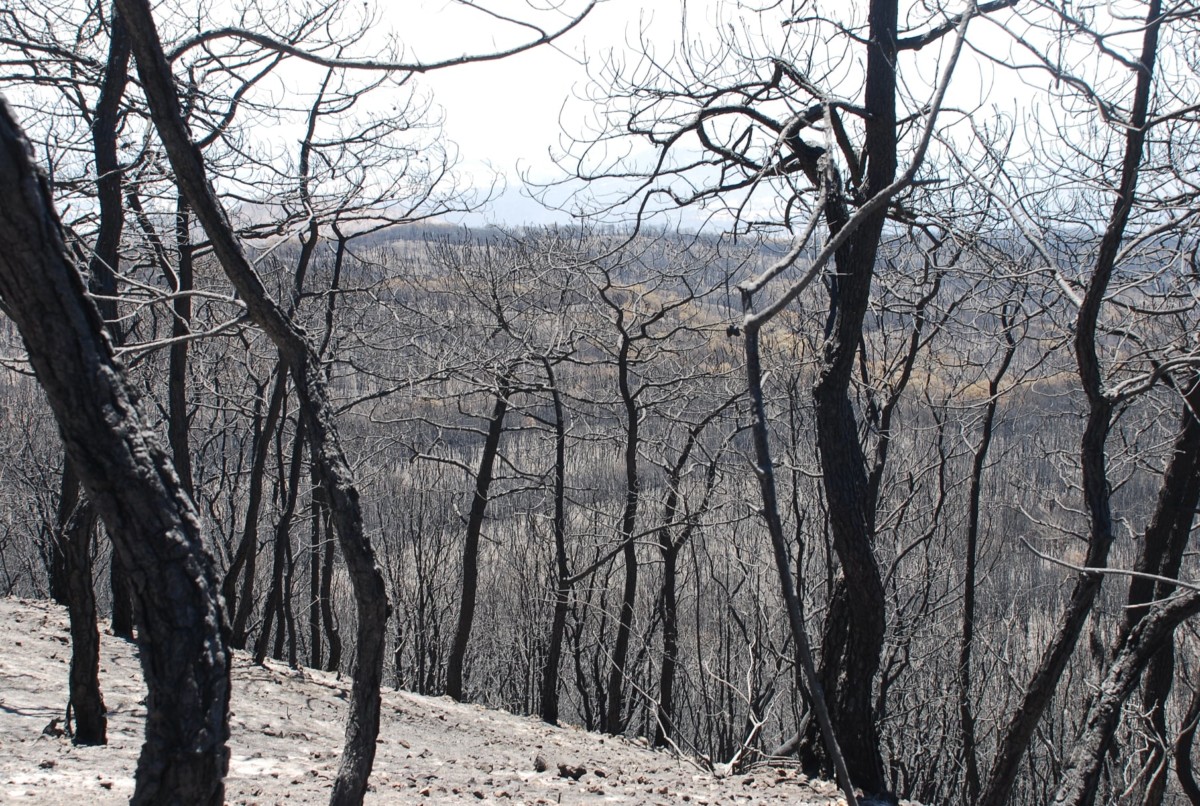 175924890_2555876877869310_6886231837857450049_n