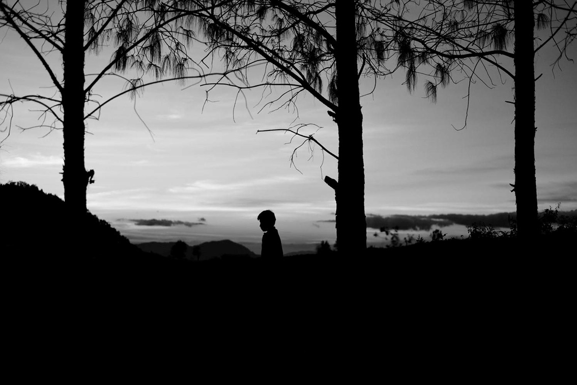 defensores_asesinados_salvadorCisneros_amapola