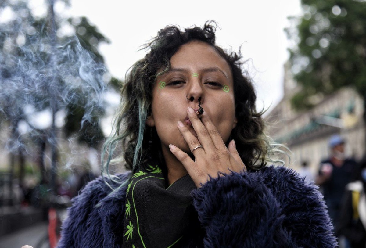 pdp_scjn_marihuana_mariaruiz00