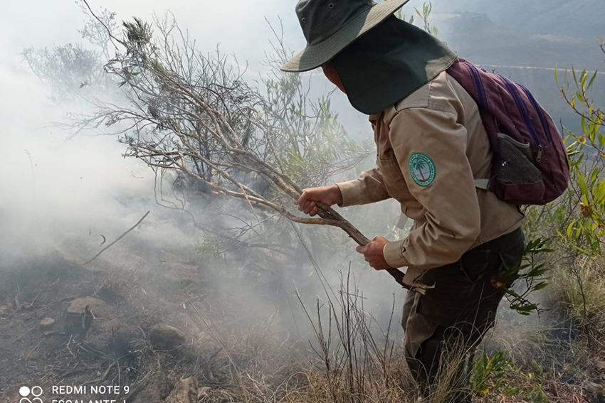 Beatriz-Martinez-Gonzales-El-Palmar-Bolivia-4-1200×800-1