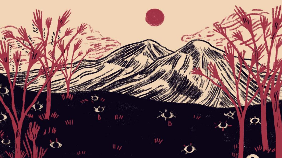 gitoc_desaparicion_danielarea_rosaliolucas01-1200×675