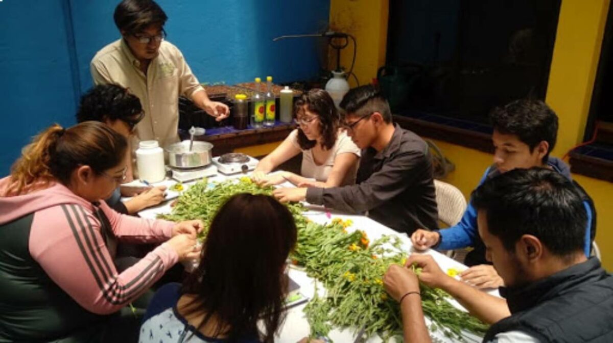 chiapaspararelo_parteras_infrarural-1200×673