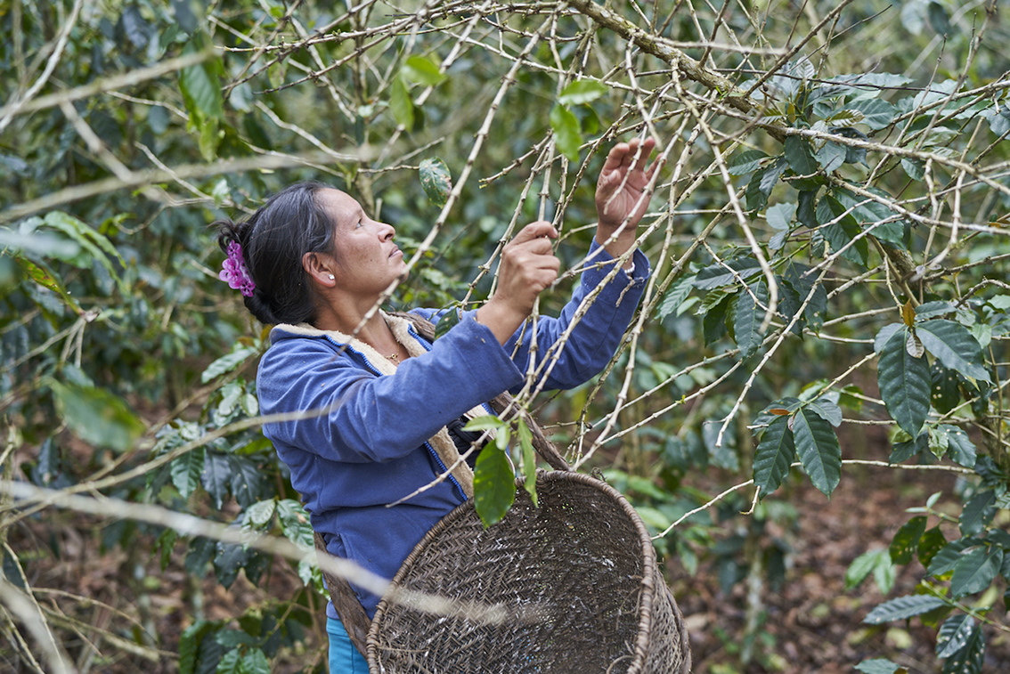 Comunidad_nativa_Catoteni_atalaya_Christian_Ugarte