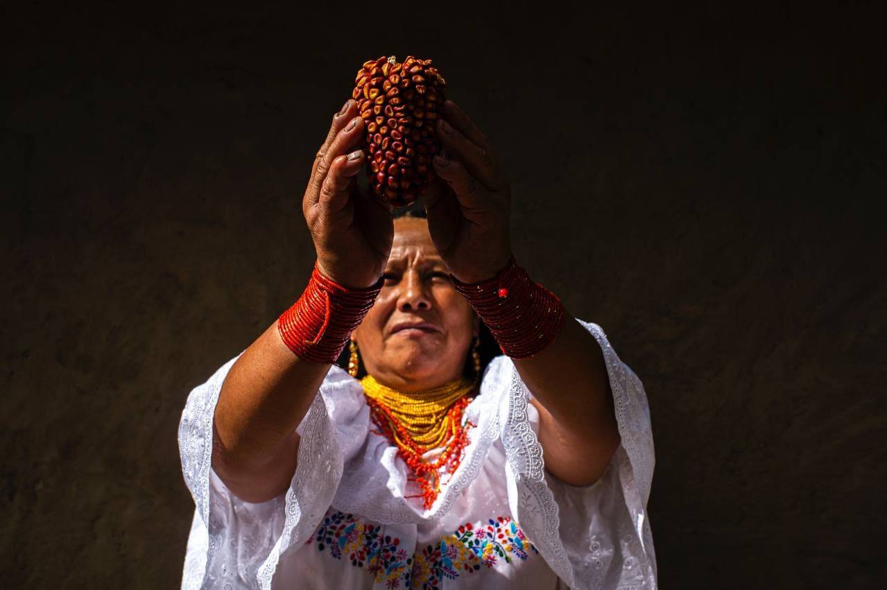 fluxusfoto_guardianassemillas_ecuador_josuearaujo11