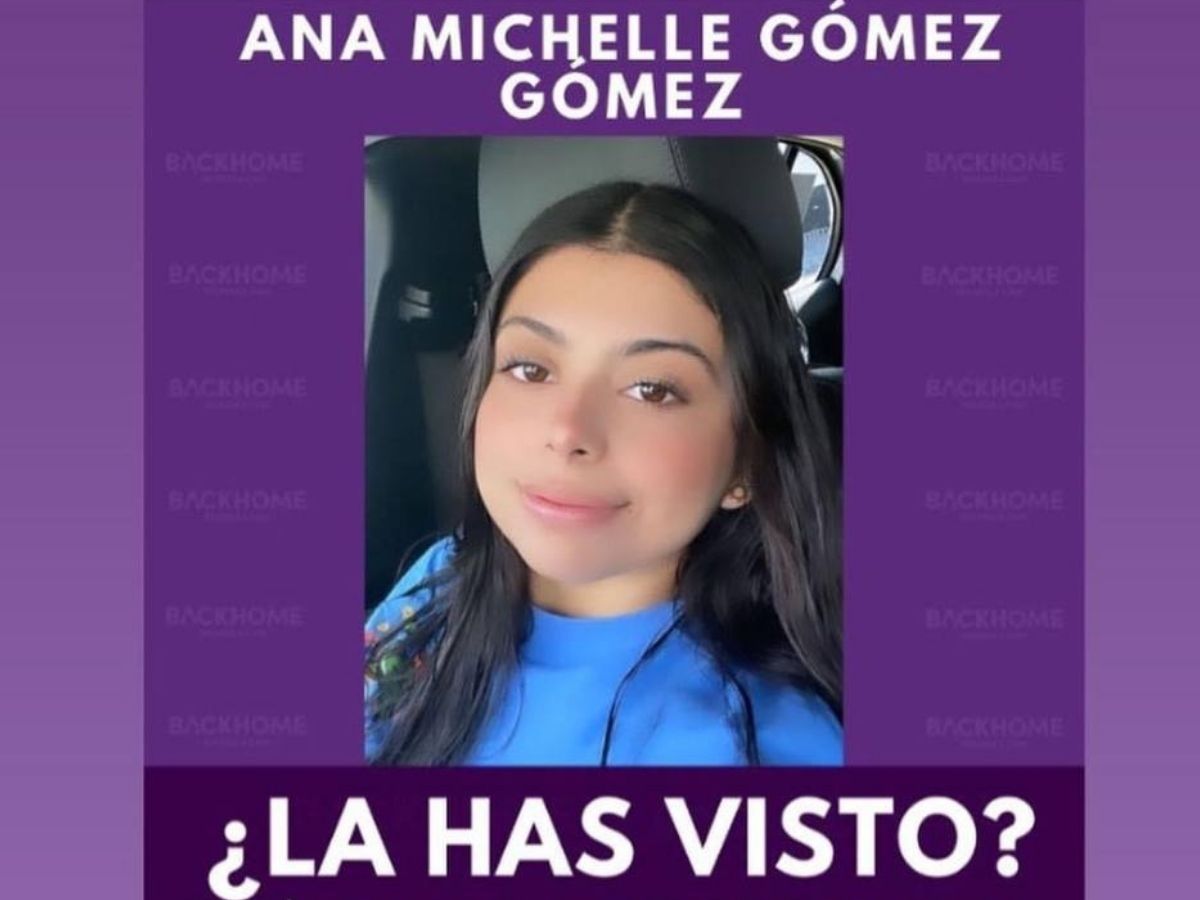 Portada_Falta Ana Michelle