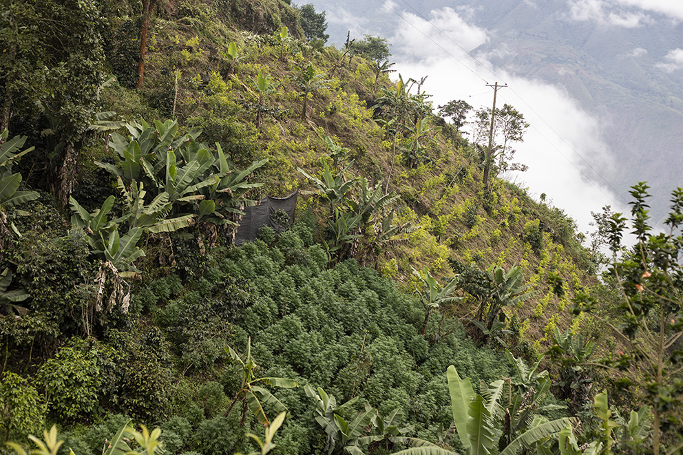 Abel4_PuebloNasa_GianpaoloContestabile