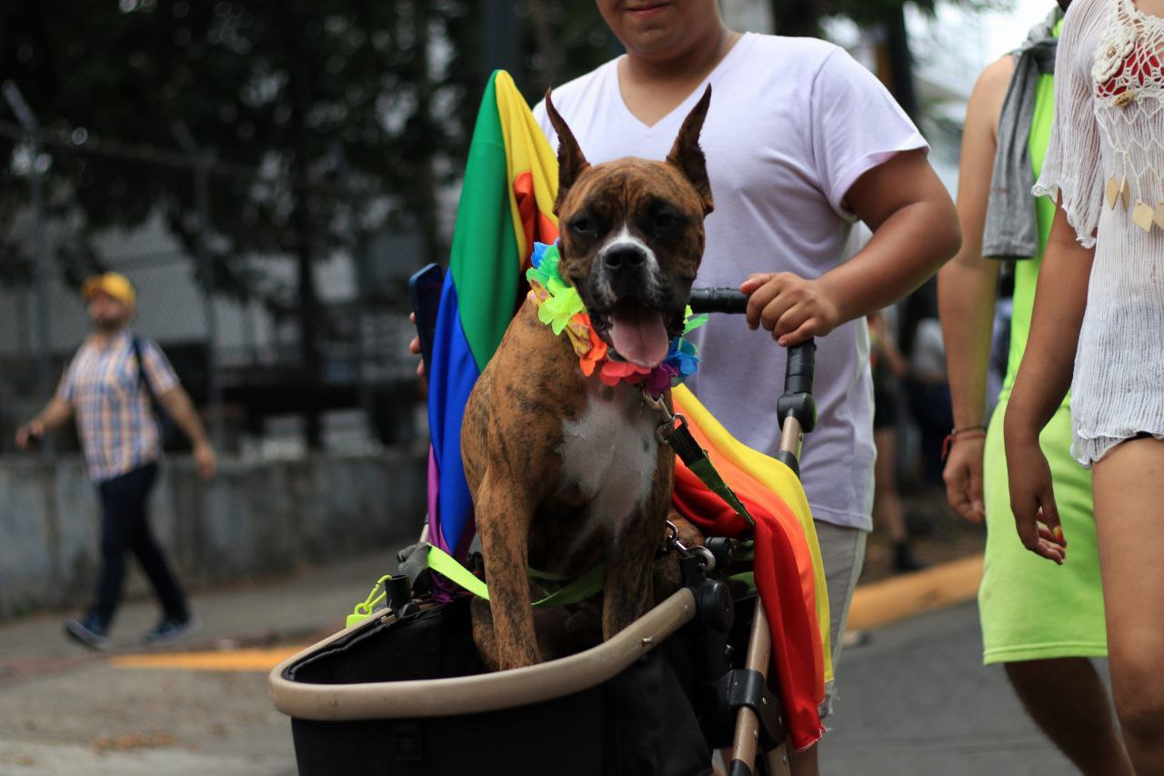 photo4963335061789321804