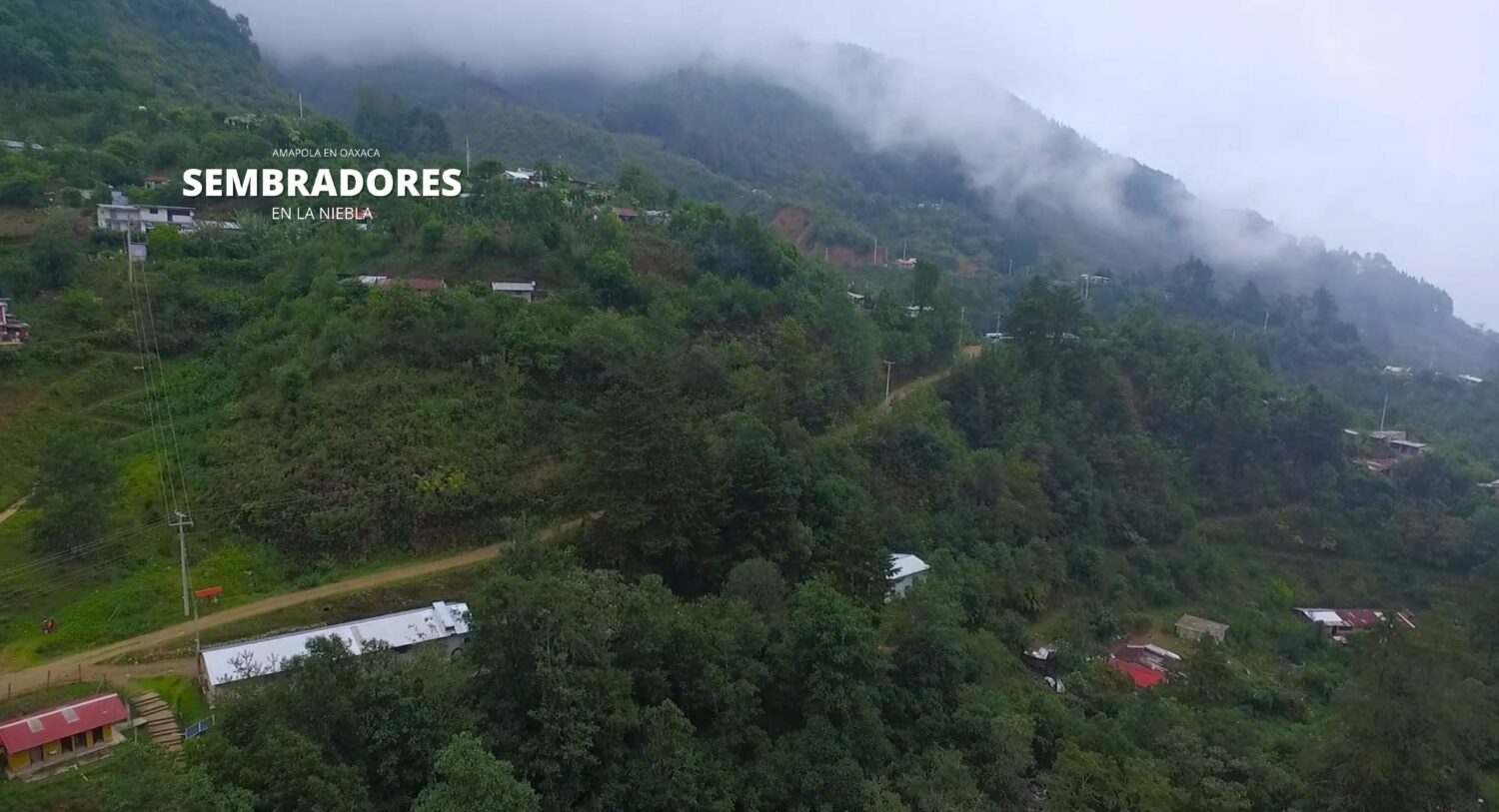 photo5544074353138837434