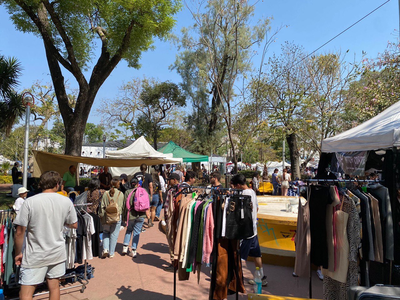 photo5168338274643717012