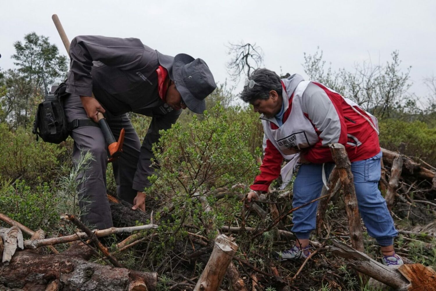 María del Carmen Volante, madre de su hija desaparecida Pamela Gallardo, ayer por la mañana durante el primer día de la Brigada de Búsqueda le explicó a un bombero que en esa zona de un perímetro del kilómetro 13 del valle del Tepozán, en el Ajusco, no era posible encontrar restos humanos por el tipo de tierra que se da en esta parte del perímetro