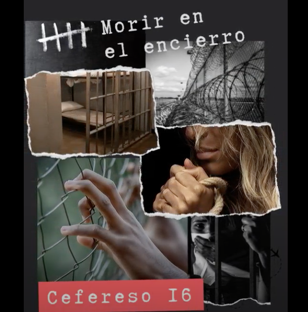 Captura de Pantalla 2023-11-09 a la(s) 13.15.02