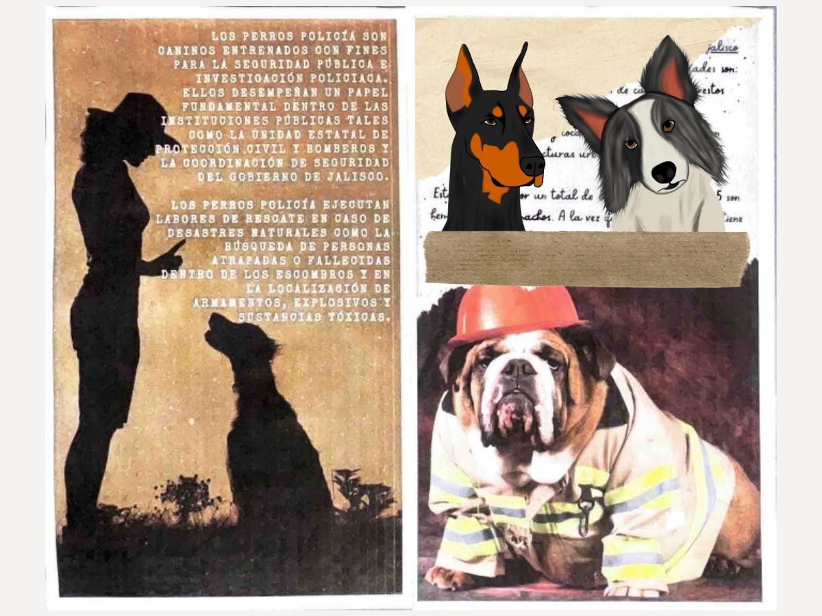Portada_Escuadrón Canino
