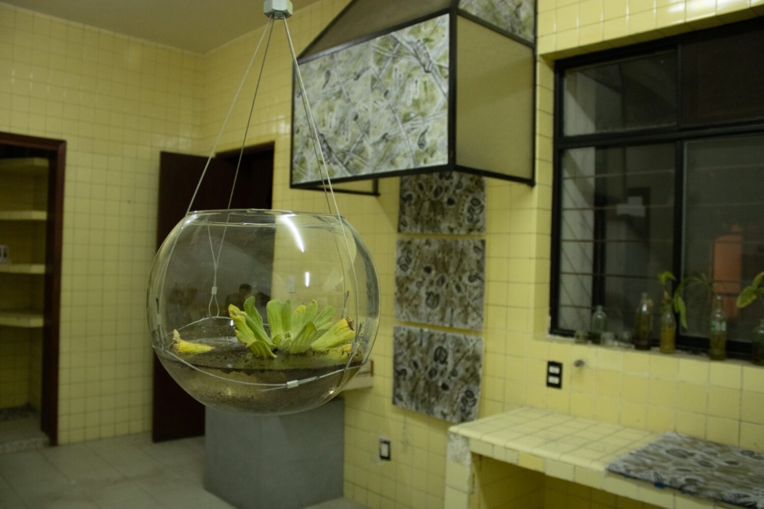 81f05e86-cb9c-44f4-95ad-be7484fce24e