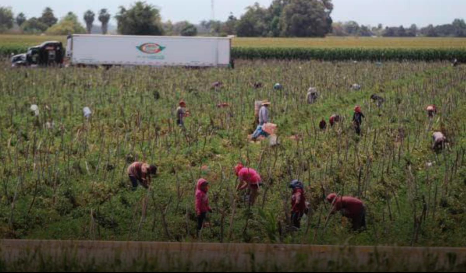 Captura-de-Pantalla-2024-11-23-a-las-18.57.57