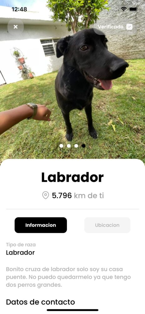 472841599_595783639704577_7583471239699856065_n