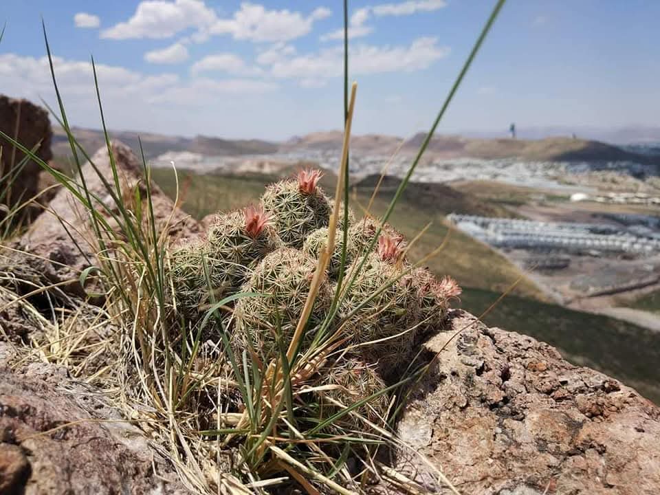 Cerro-Hored-Chihuahua-1