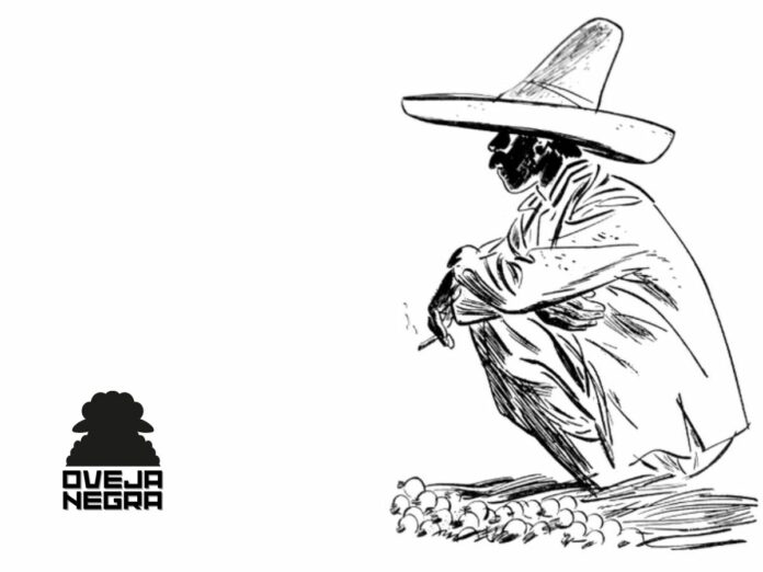 ok ZONA DE OPINIÓN PORTADAS Y LOGOS-7