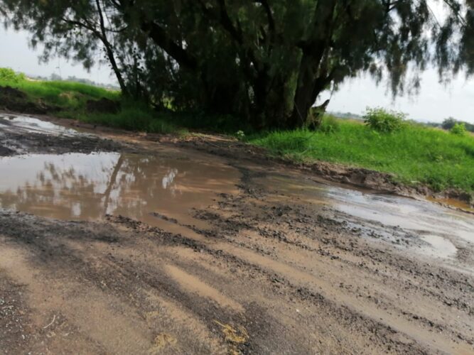 WhatsApp-Image-2025-08-31-at-3.55.15-PM-2-667×500