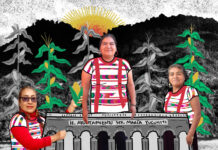 Cómo estas mujeres ñuu savi derrotaron al machismo en las urnas