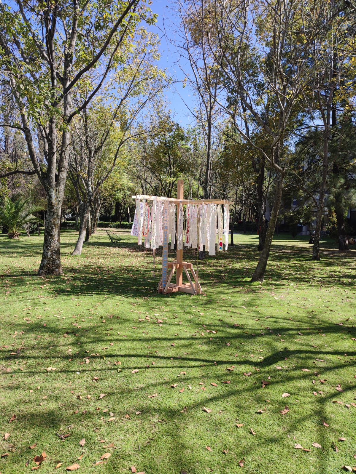 WhatsApp Image 2026-01-12 at 08.57.15 (1)