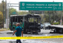 “Lo más difícil fue no saber”: un joven relata cómo vivió la violencia y la incertidumbre en Jalisco