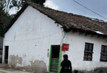 Maternidad, identidad y comunidad: complejidades de las mujeres en situación de desplazamiento forzado en Chiapas