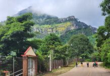 El refugio de la imaginación: el arte como trinchera para la niñez desplazada en Sinaloa