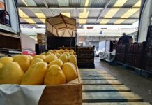 “Si el mercado no abre, no como”: choferes y comerciantes de Abastos narran lo que el “Jaliscazo” les arrebató.