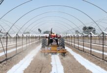Los surcos de la movilidad: migración, precariedad y agroindustria en Yurécuaro