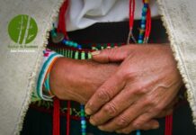 Un Servicio Universal de Salud para los pueblos originarios de México: tres propuestas contra la exclusión sistémica